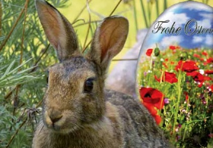 Osterhase und Ostereier
