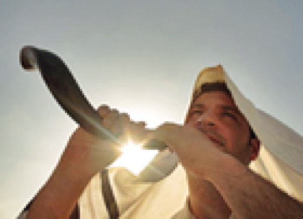 Das Heilige Jahr in der Bibel