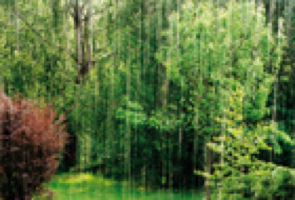 Die Natur bewahren – Die Schöpfung «in Arbeit»