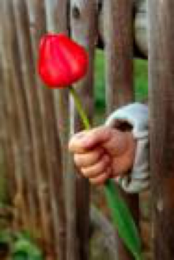 Muttertag – Ein Dank an dich
