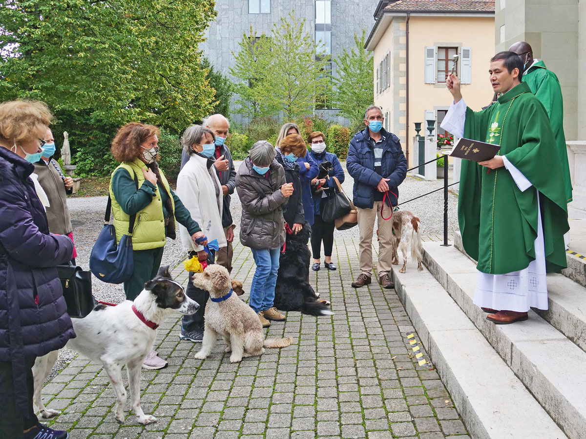 Bénédiction des animaux