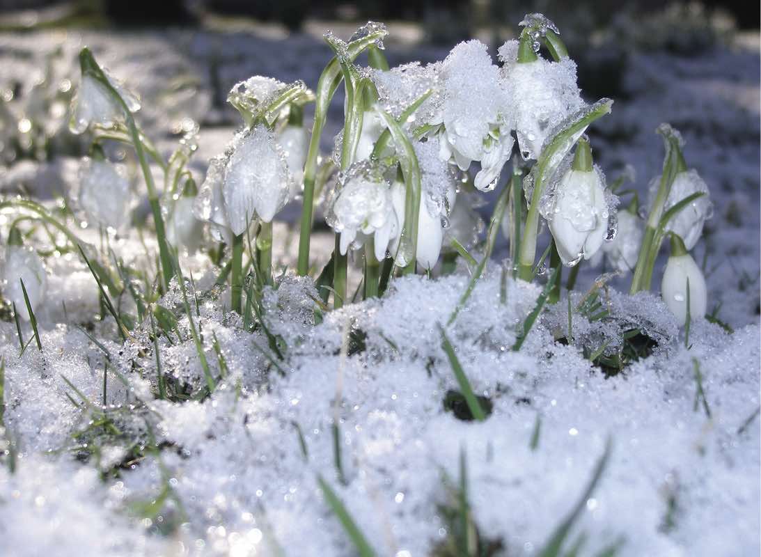 Changement climatique du cœur