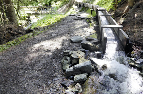 Gardien du bisse