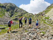 Que ferait saint Bernard aujourd’hui?