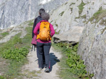 A la croisée des chemins