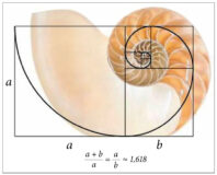 Le nombre d’or