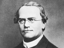 Johann Gregor Mendel