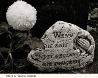 «Ich verstehe Sie nicht!»