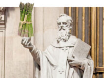 La saison des asperges